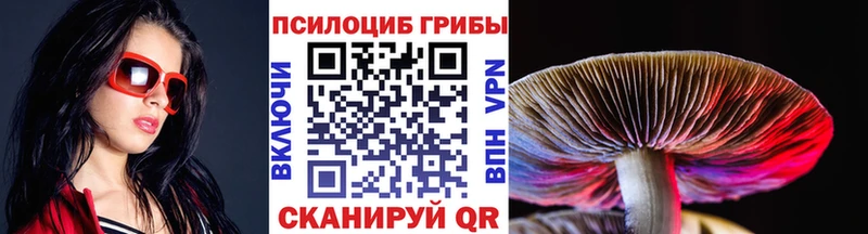 Псилоцибиновые грибы мицелий  Пудож 